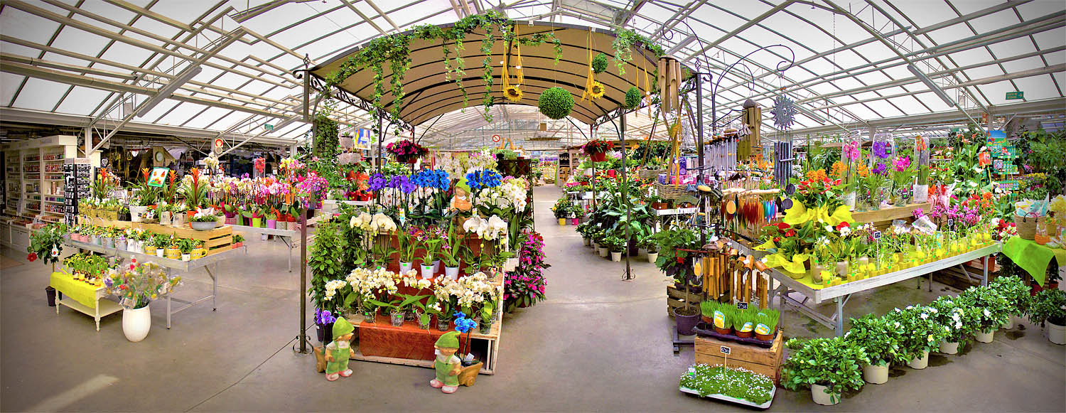 Jardinerie - Jardinerie Fleurs et Plantes d'Auvergne