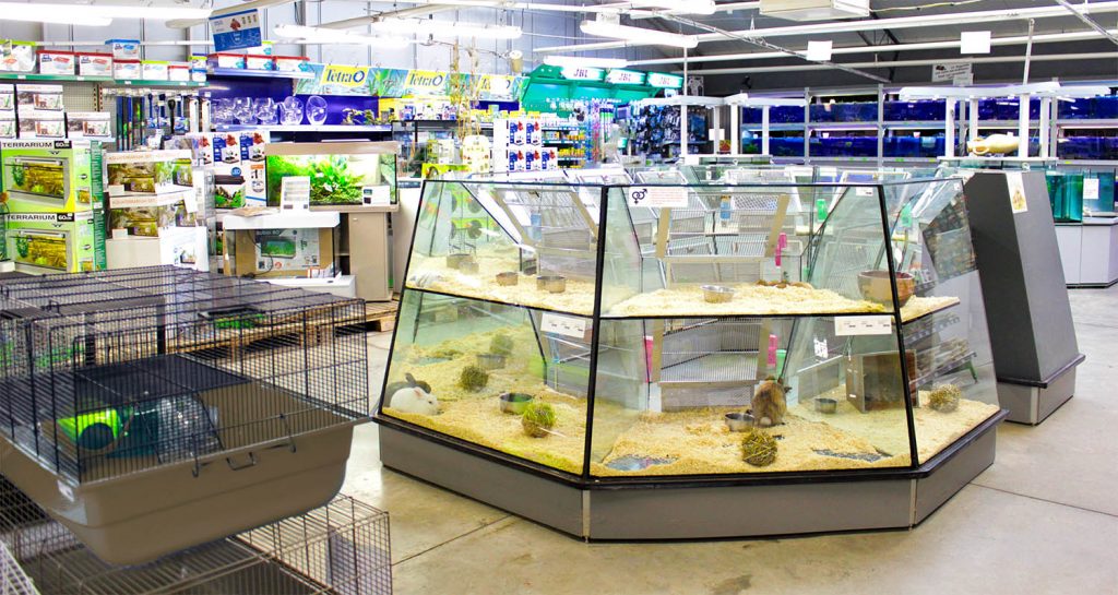 Animalerie - Jardinerie Fleurs et Plantes d'Auvergne